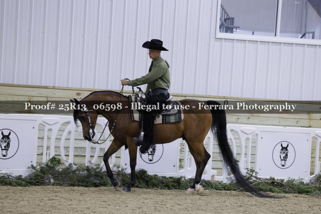 Proof 25R13_06598