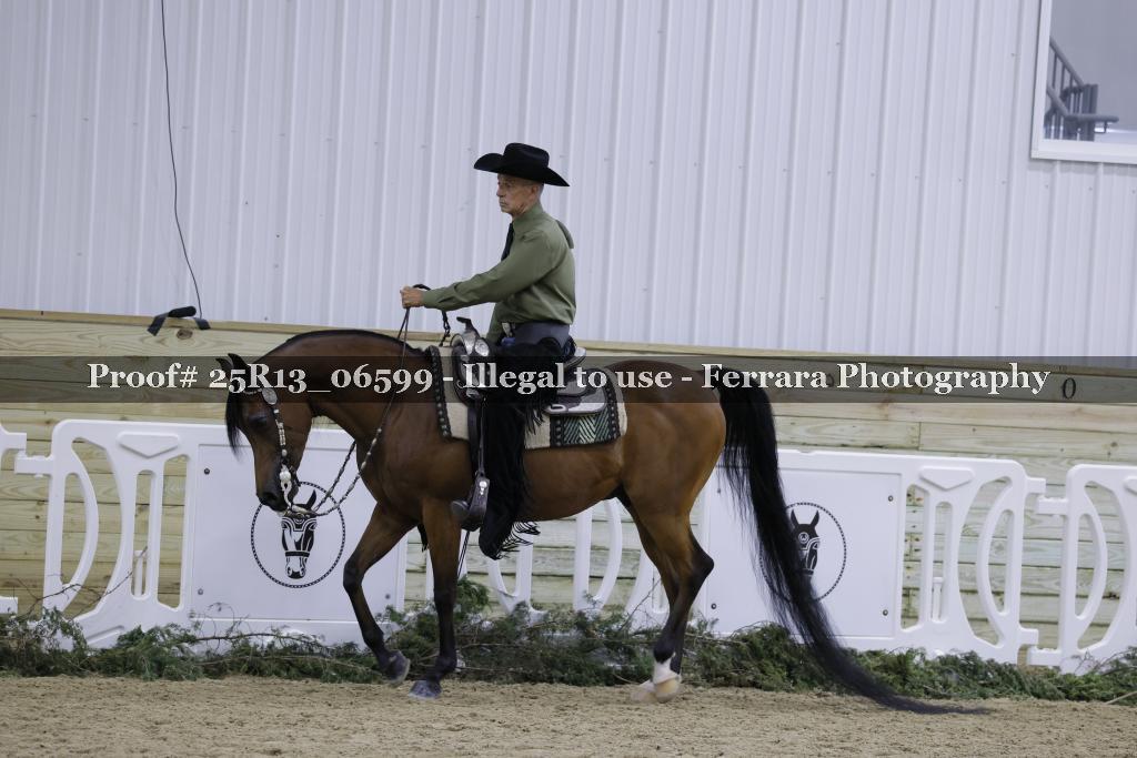Proof 25R13_06599