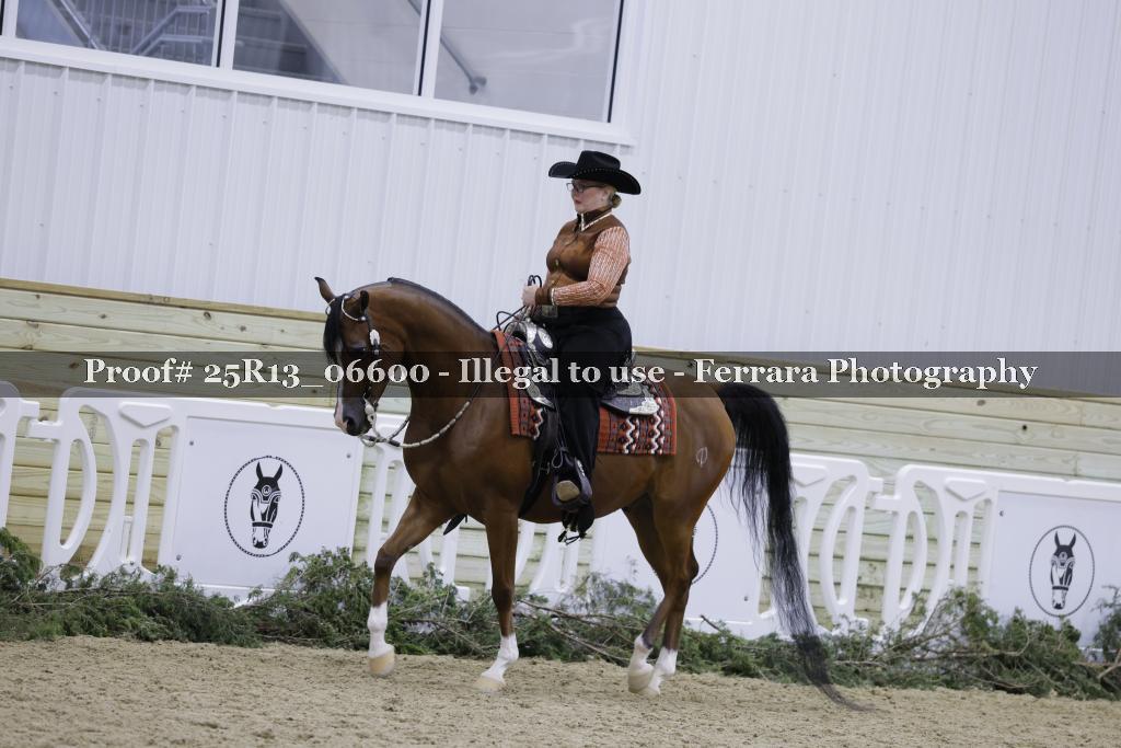 Proof 25R13_06600