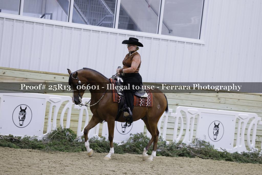 Proof 25R13_06601