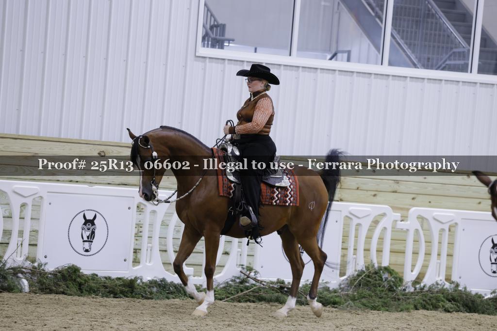 Proof 25R13_06602
