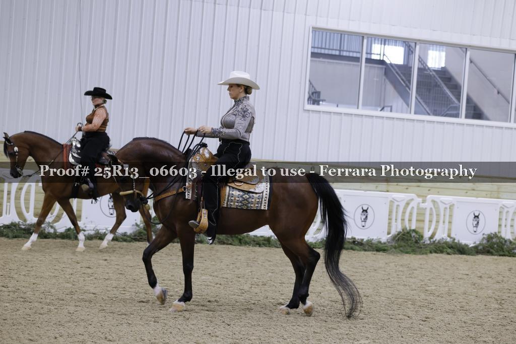 Proof 25R13_06603