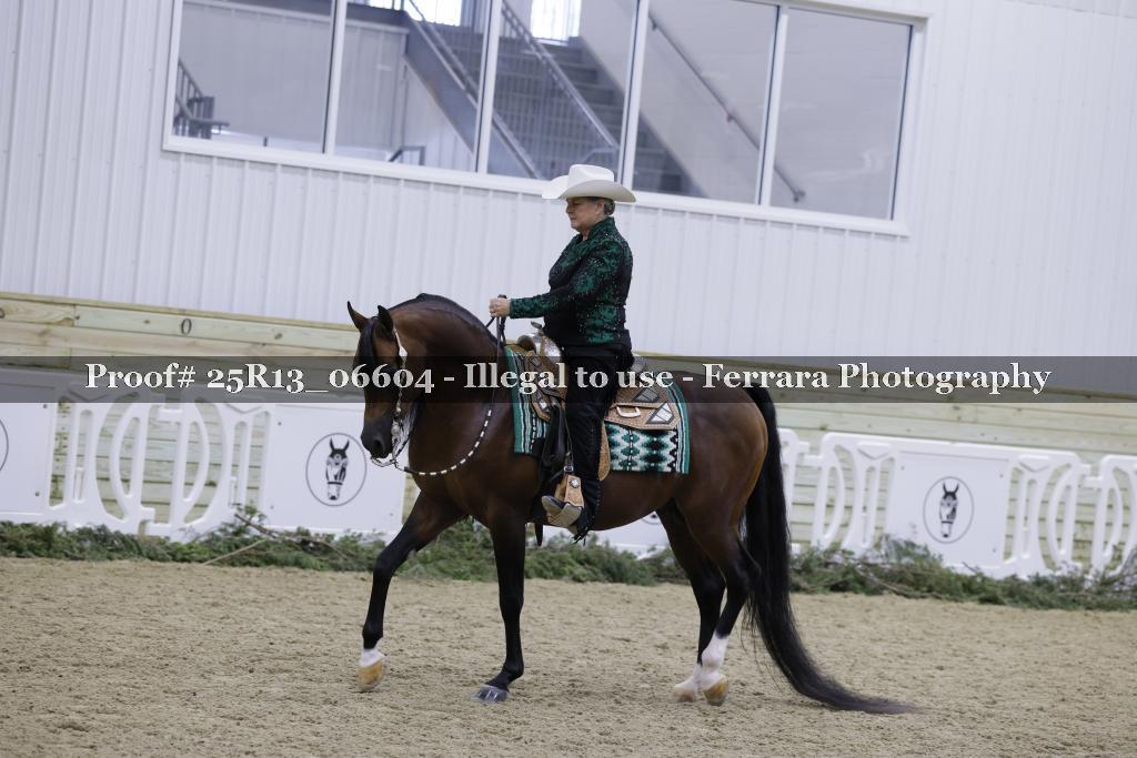 Proof 25R13_06604