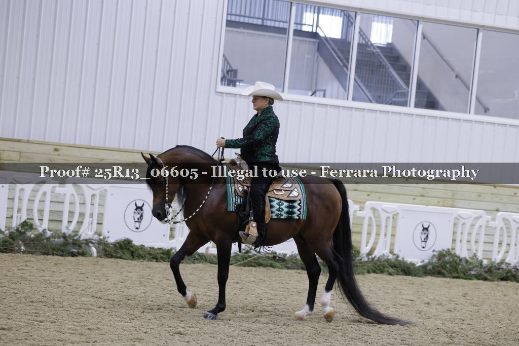 Proof 25R13_06605