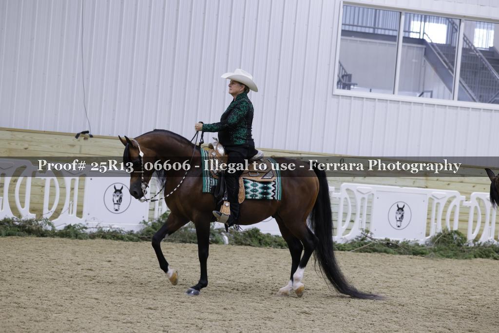 Proof 25R13_06606
