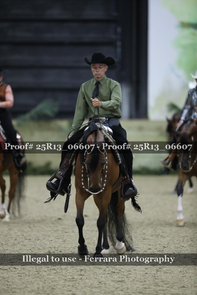 Proof 25R13_06607