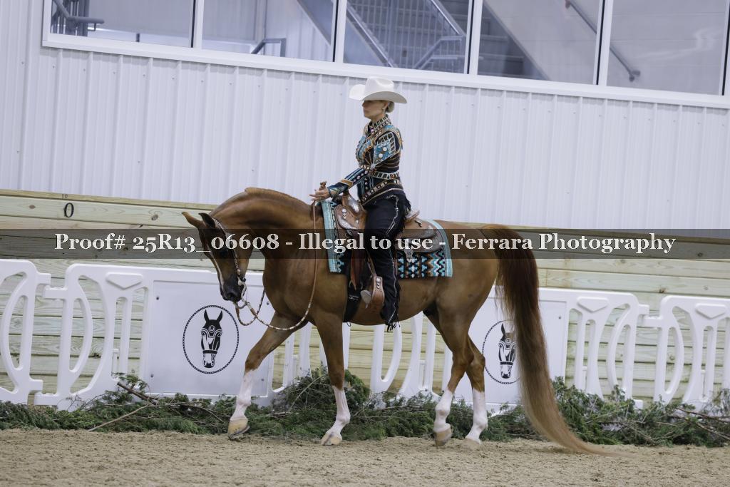 Proof 25R13_06608
