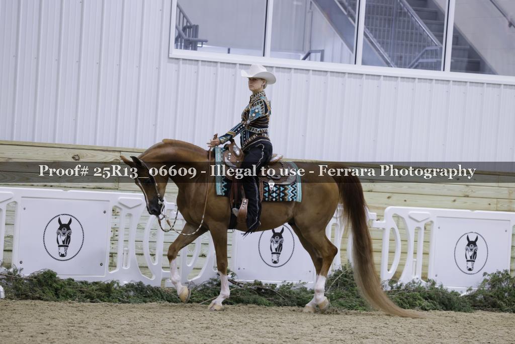 Proof 25R13_06609