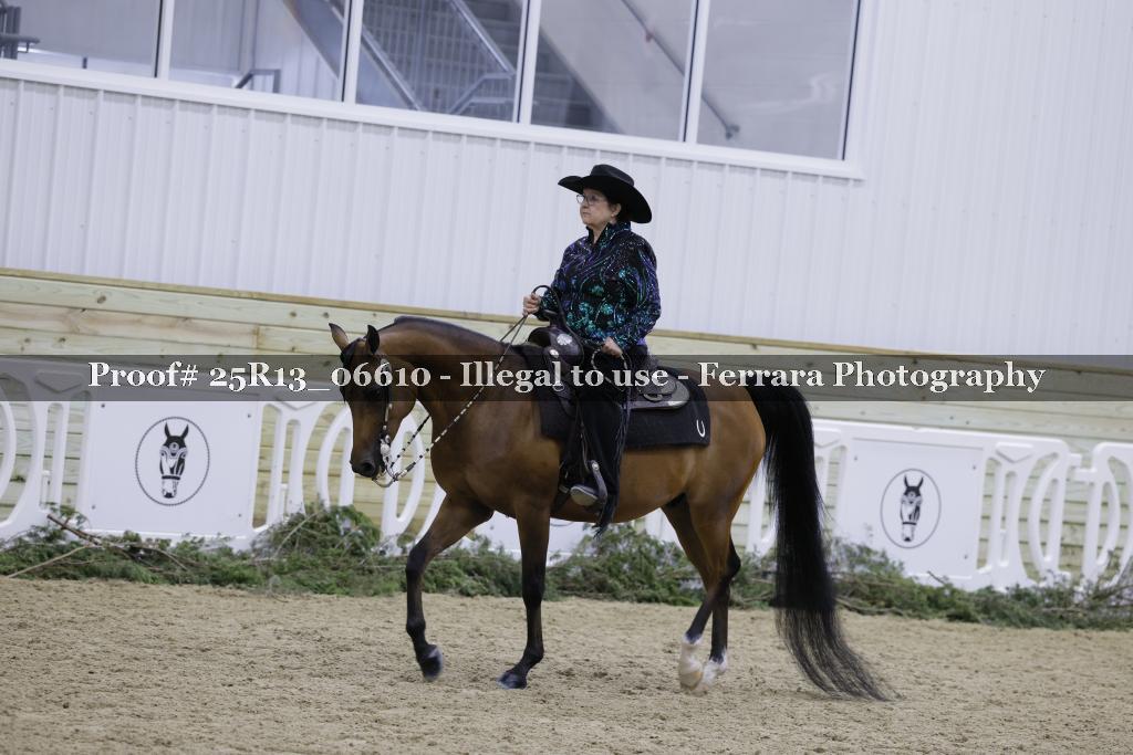 Proof 25R13_06610