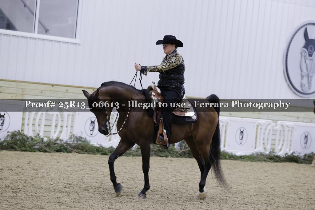 Proof 25R13_06613