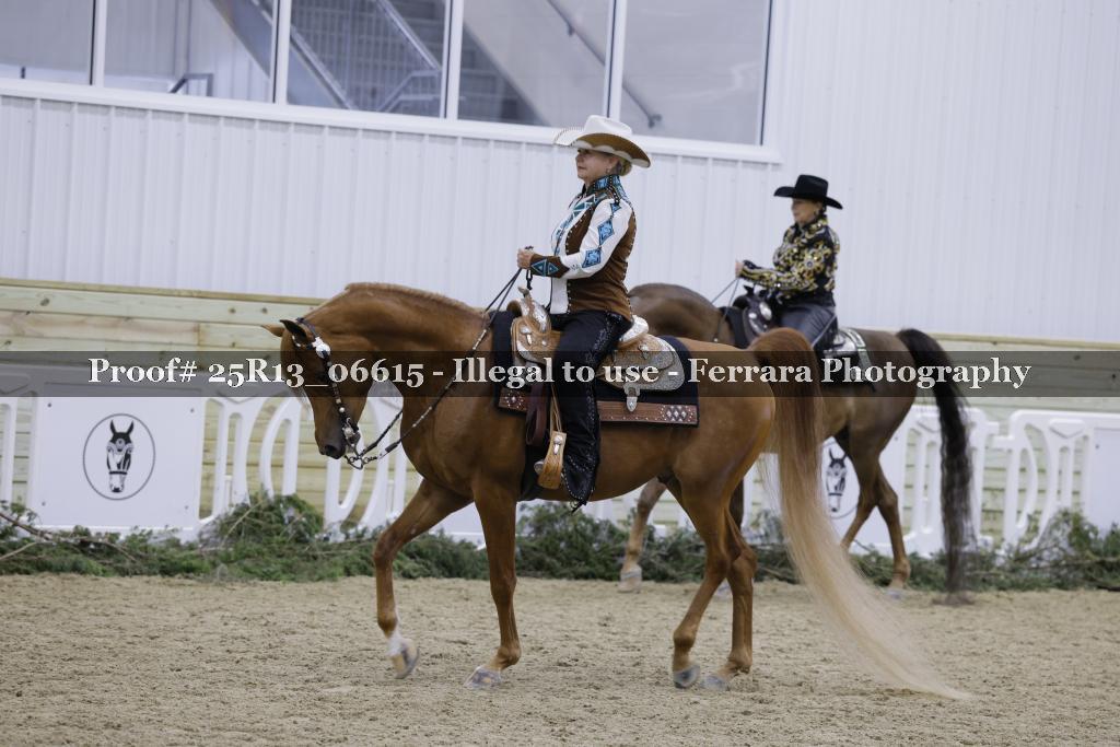 Proof 25R13_06615