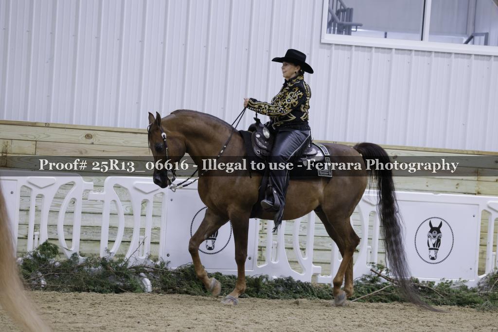 Proof 25R13_06616
