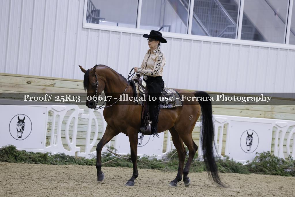 Proof 25R13_06617