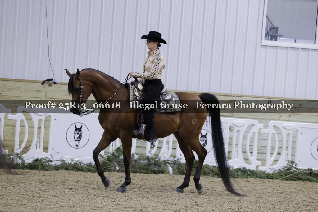 Proof 25R13_06618