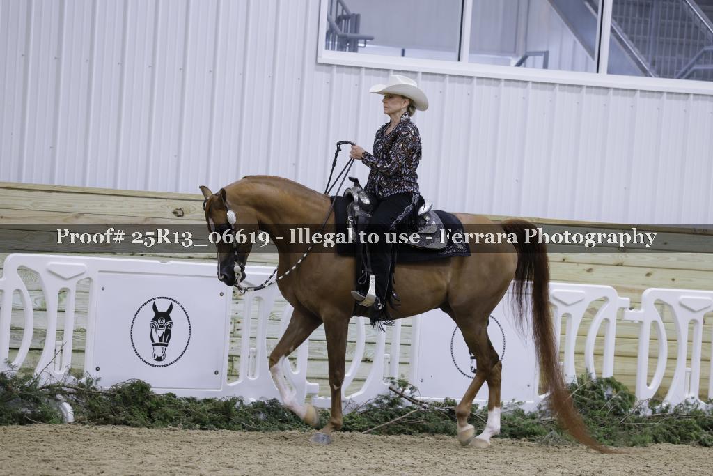 Proof 25R13_06619