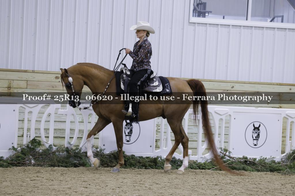 Proof 25R13_06620