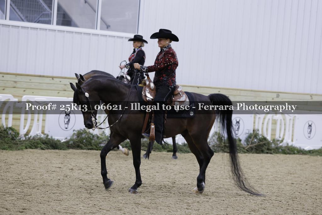 Proof 25R13_06621