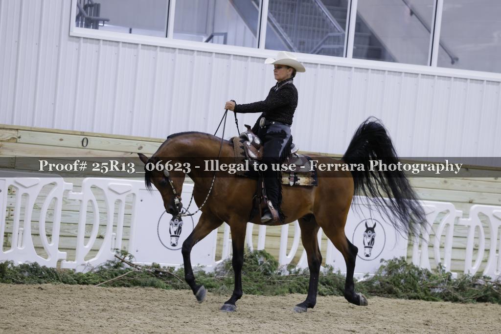 Proof 25R13_06623
