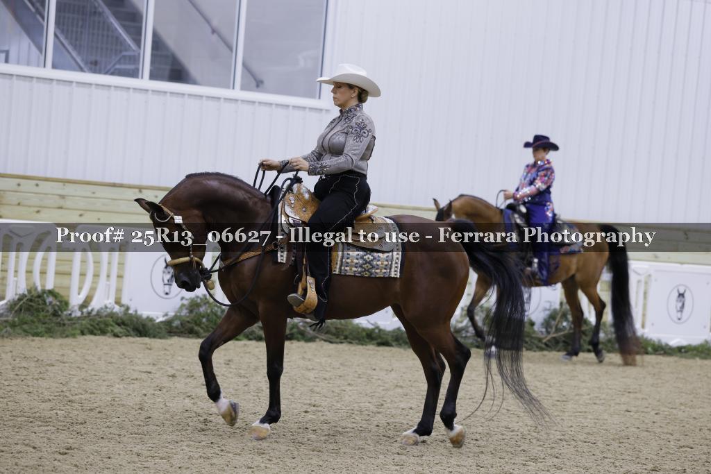 Proof 25R13_06627
