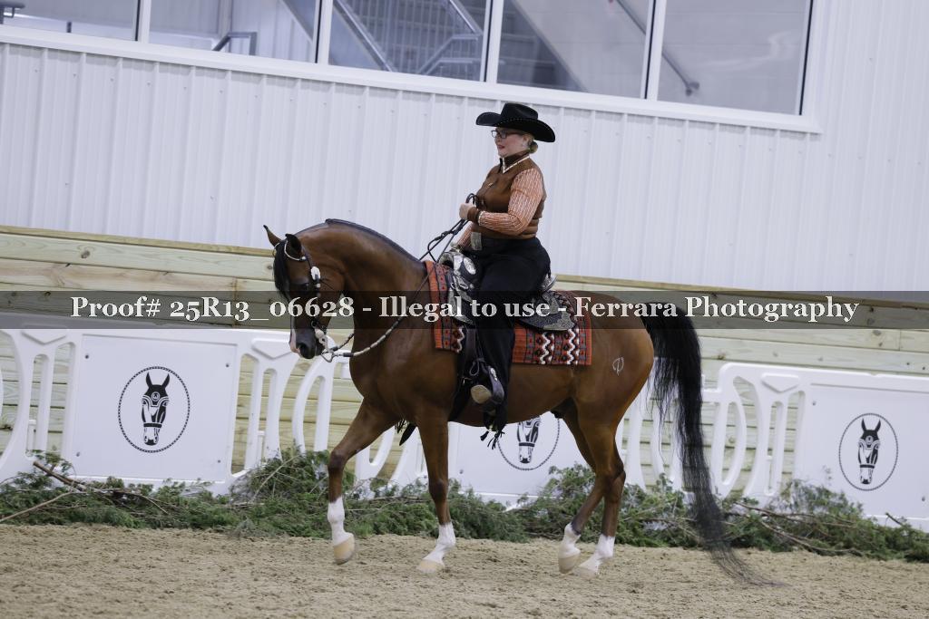 Proof 25R13_06628