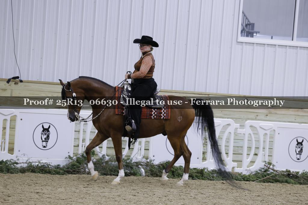 Proof 25R13_06630