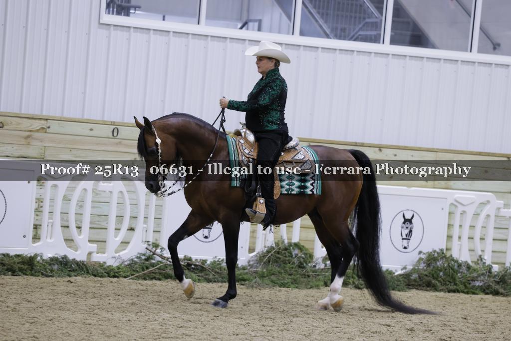 Proof 25R13_06631