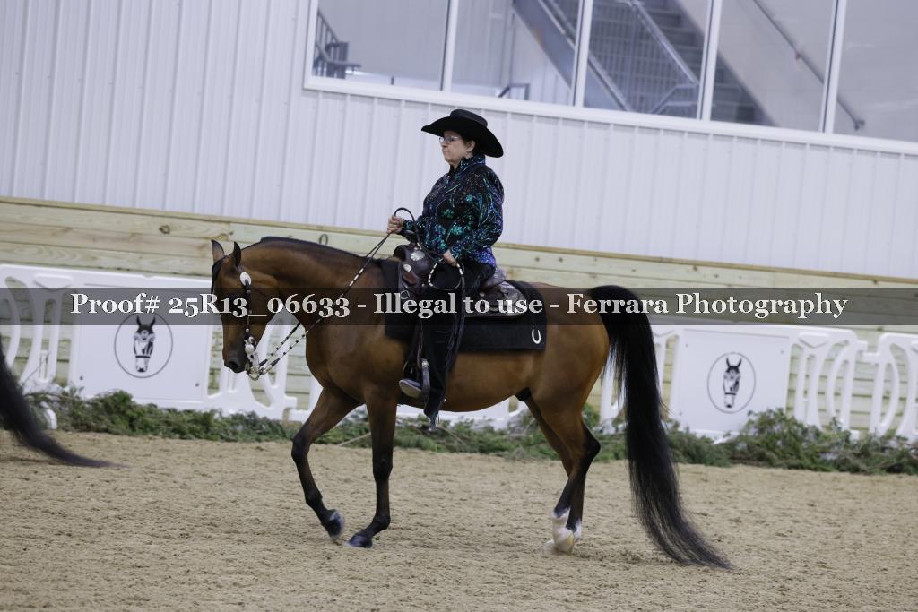 Proof 25R13_06633