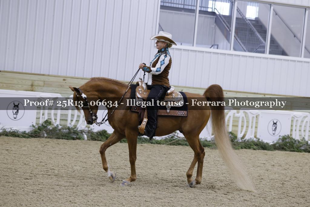 Proof 25R13_06634