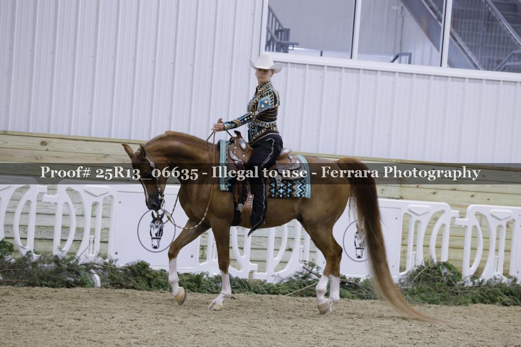 Proof 25R13_06635