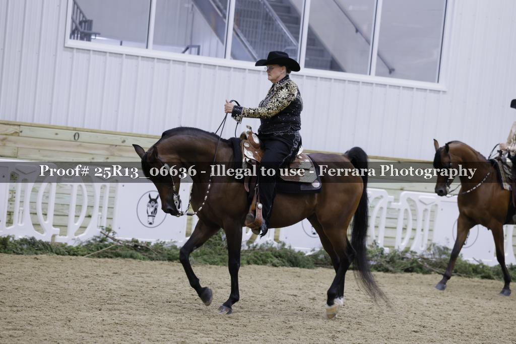 Proof 25R13_06636