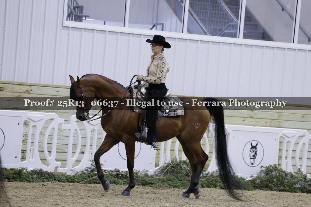 Proof 25R13_06637