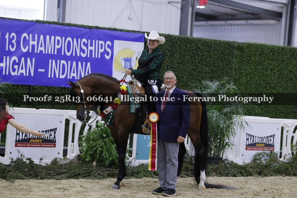 Proof 25R13_06641
