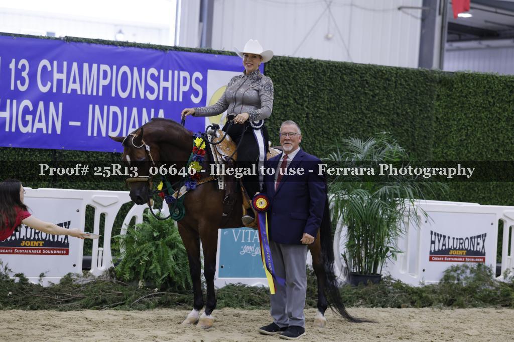 Proof 25R13_06646