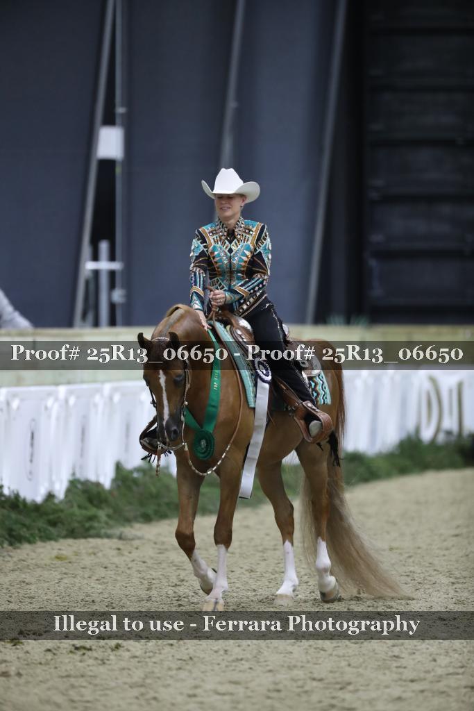 Proof 25R13_06650