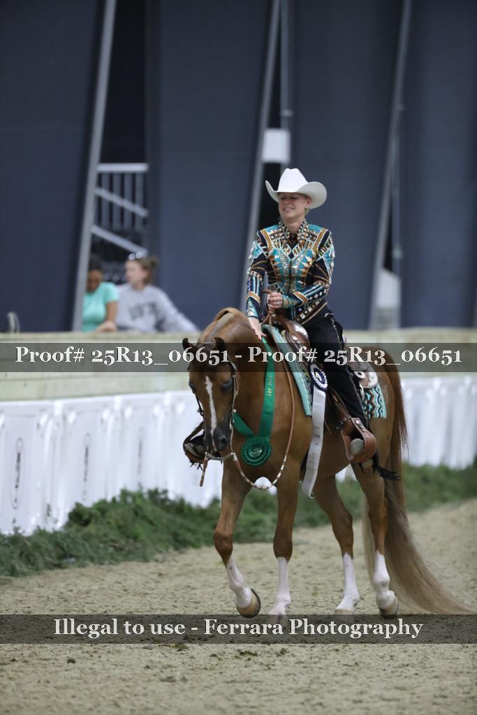 Proof 25R13_06651