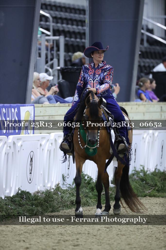 Proof 25R13_06652