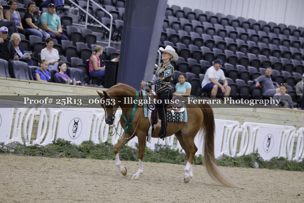 Proof 25R13_06653