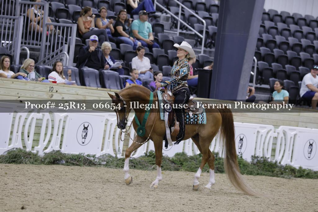 Proof 25R13_06654
