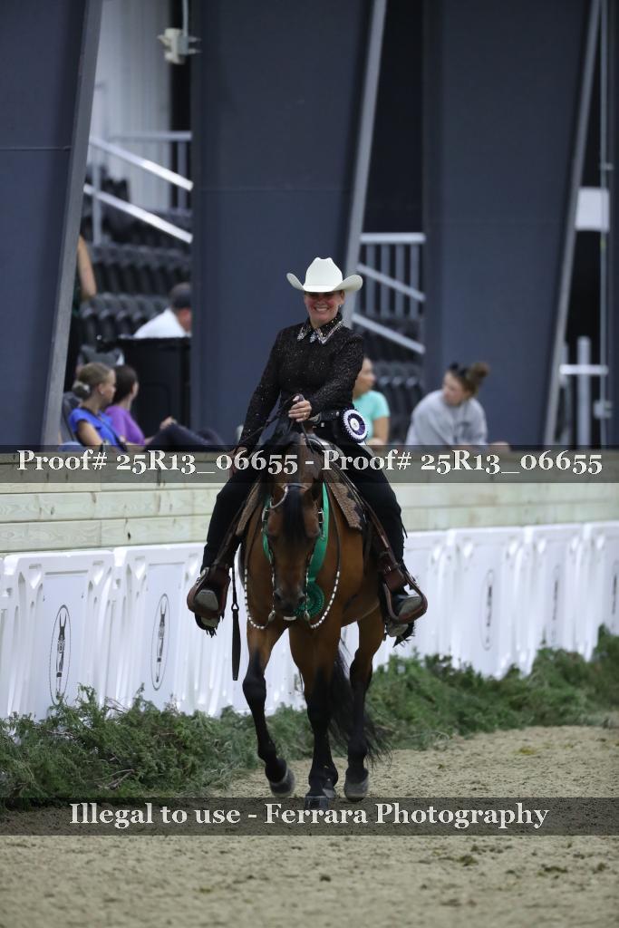 Proof 25R13_06655