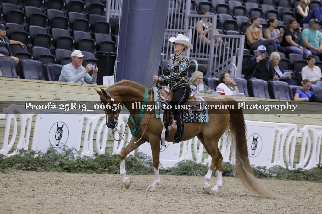 Proof 25R13_06656