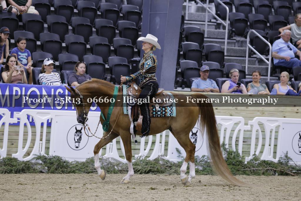 Proof 25R13_06660