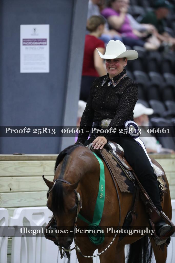 Proof 25R13_06661