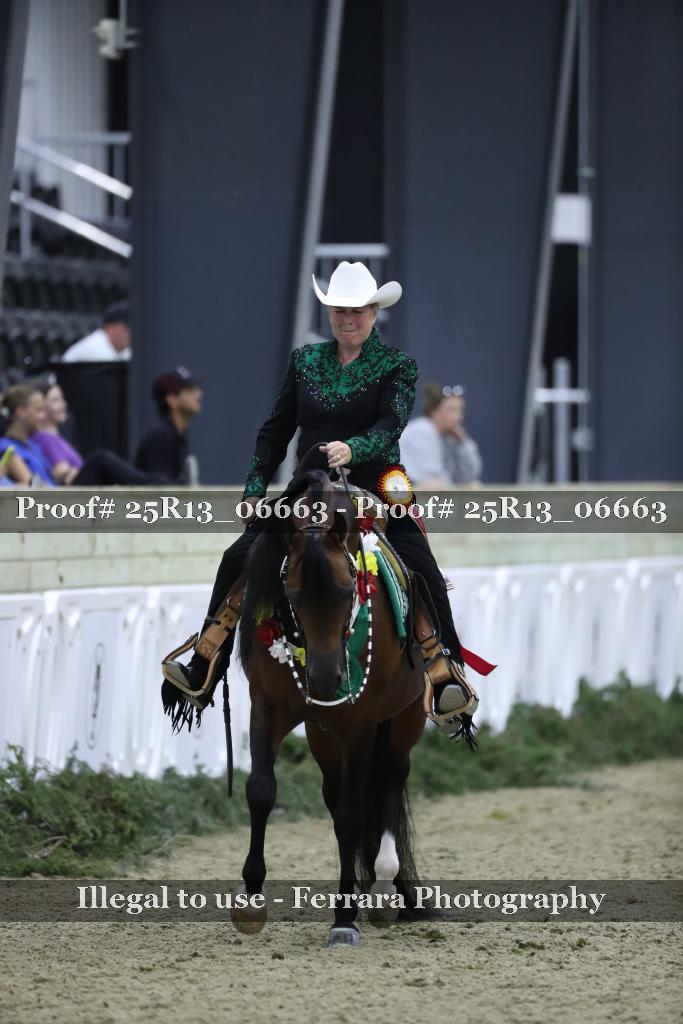 Proof 25R13_06663