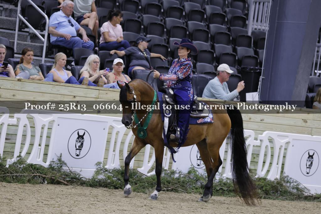 Proof 25R13_06664