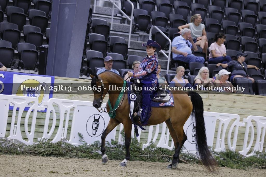 Proof 25R13_06665