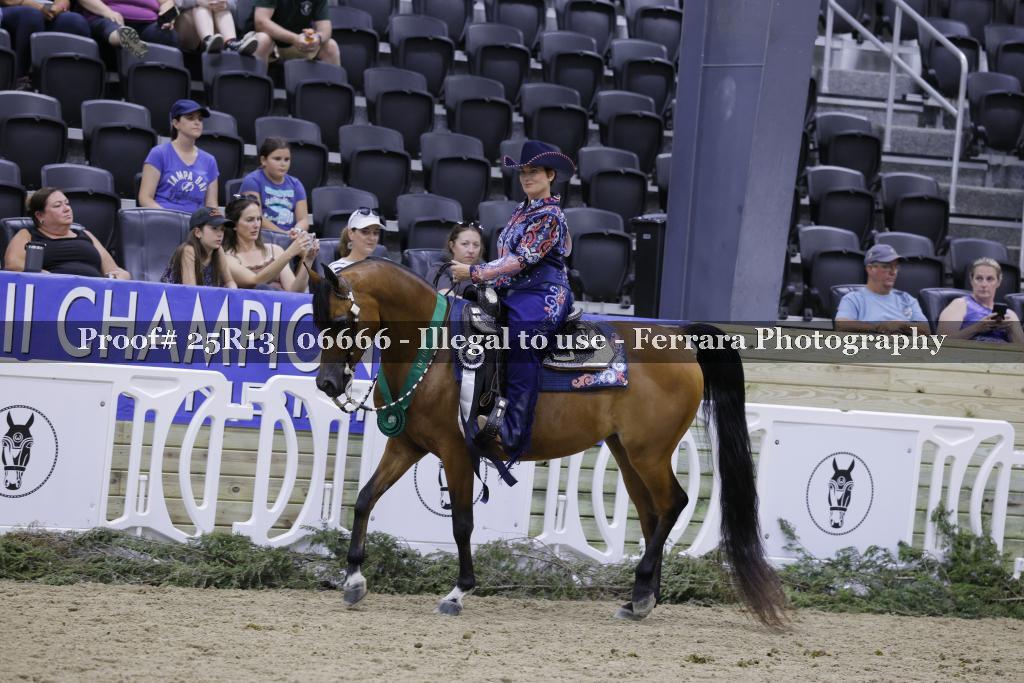 Proof 25R13_06666