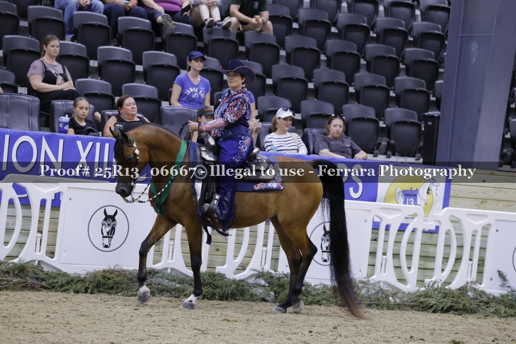Proof 25R13_06667