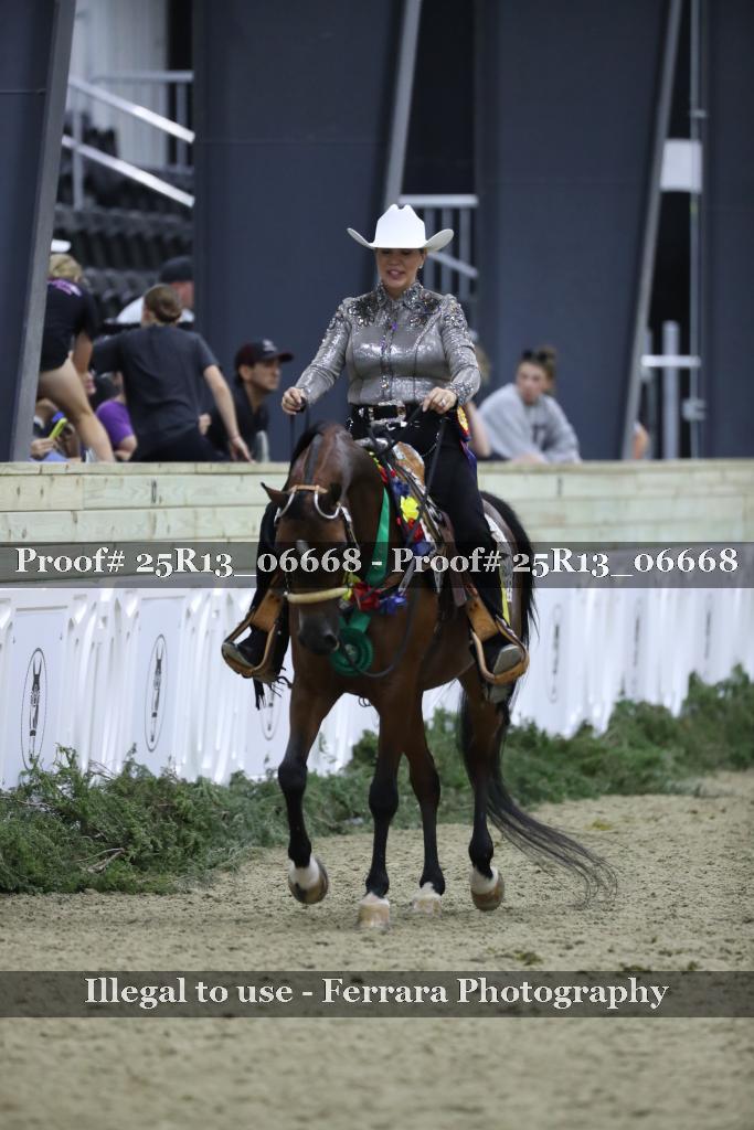 Proof 25R13_06668