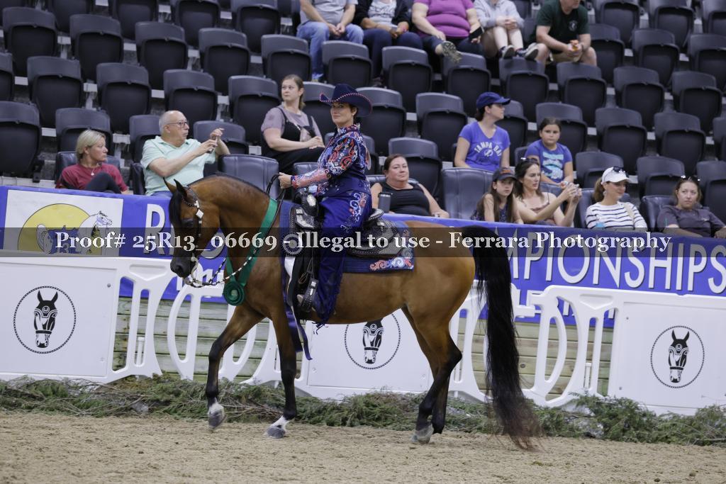 Proof 25R13_06669