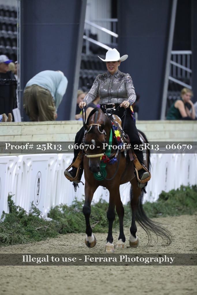 Proof 25R13_06670